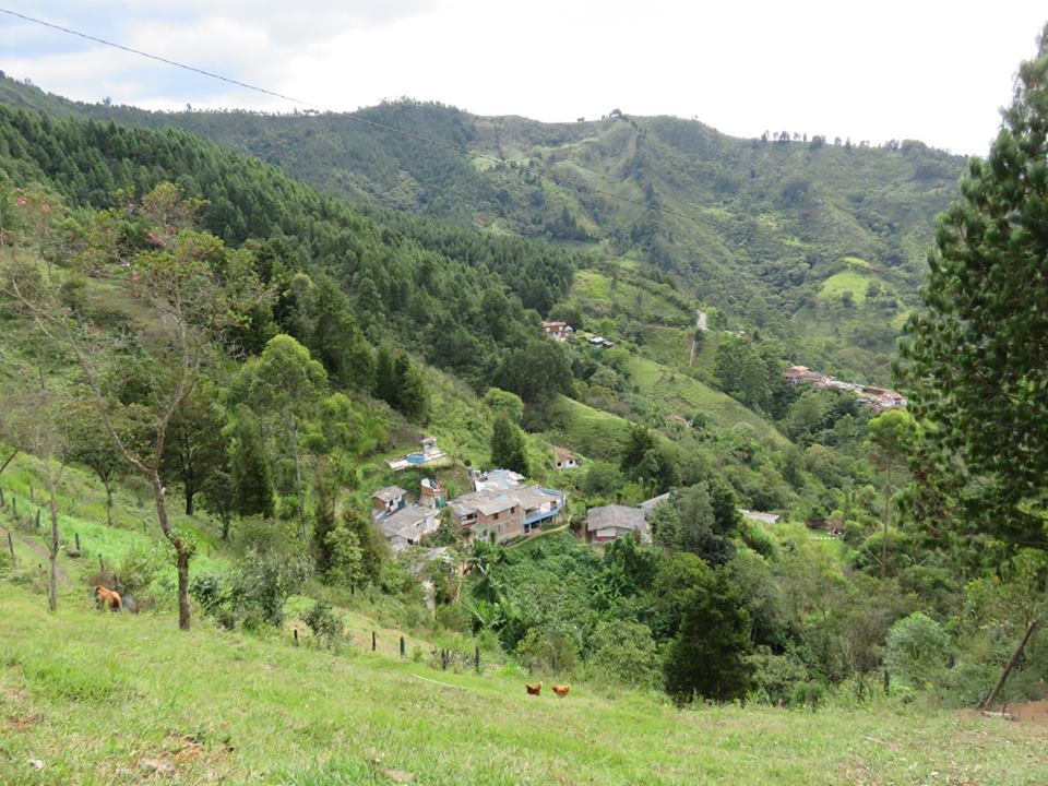 envigado15
