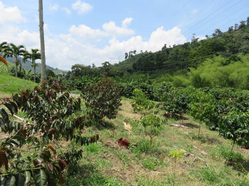 14670823_10157522264220262_1820118778880301811_n1