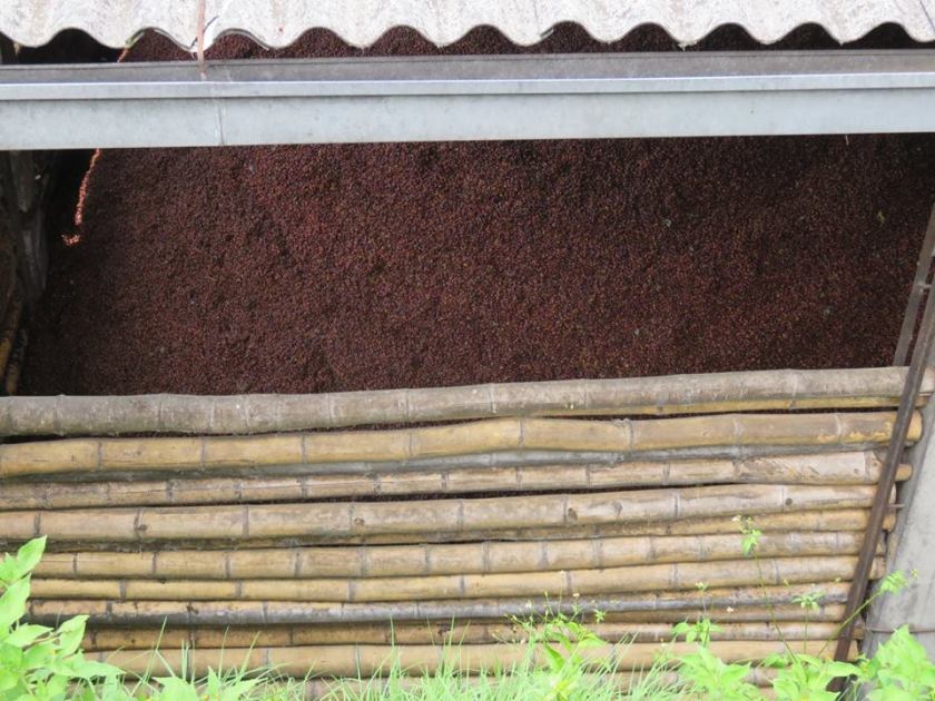 14670825_10157522269660262_3561982785140579043_n