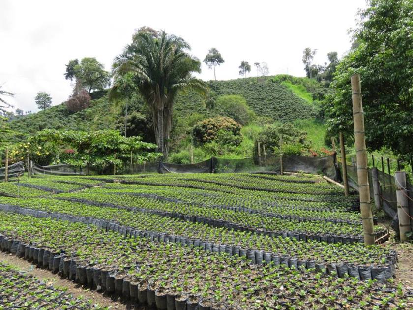 14671307_10157522268405262_5203996779598185093_n