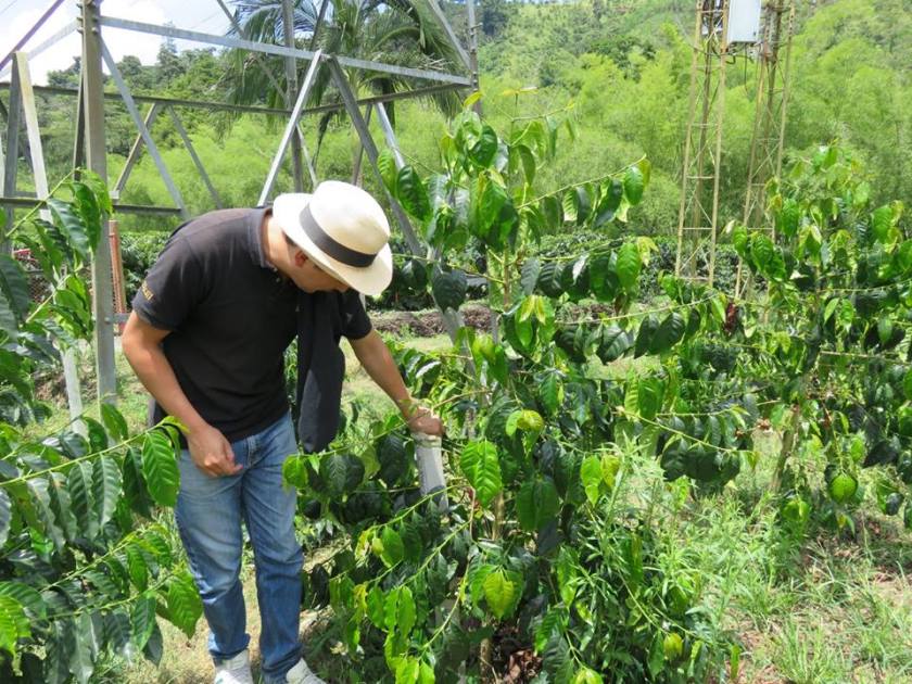 14702280_10157522265815262_3994102608413372427_n