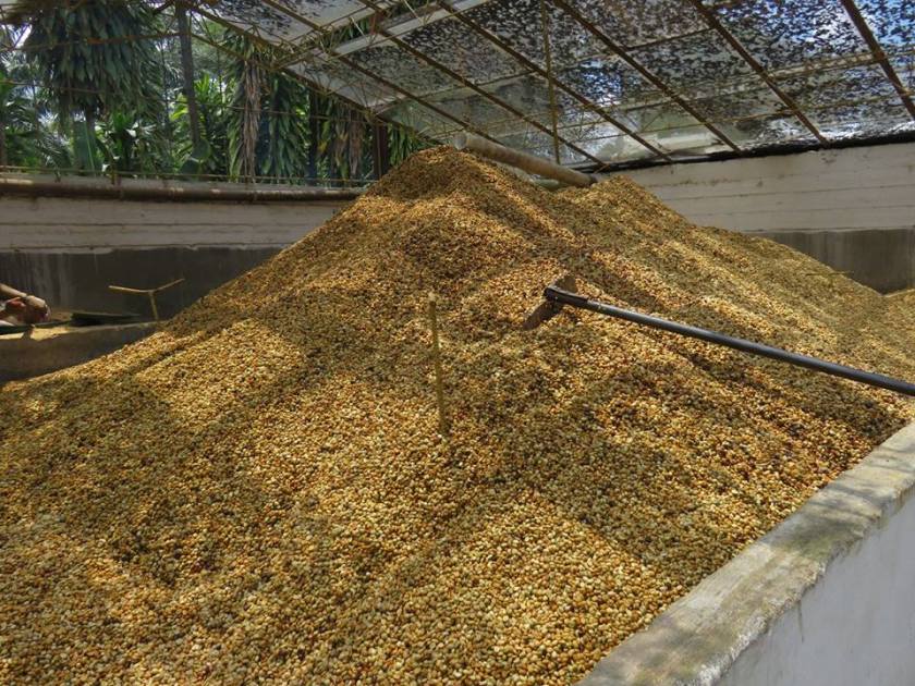 14702320_10157522271640262_2442392730177033051_n