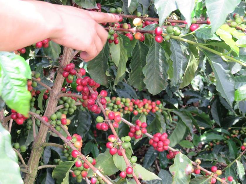 14717321_10157522265800262_4156217177090237585_n