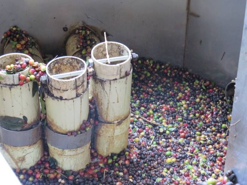 14729082_10157522270370262_458012479311699869_n