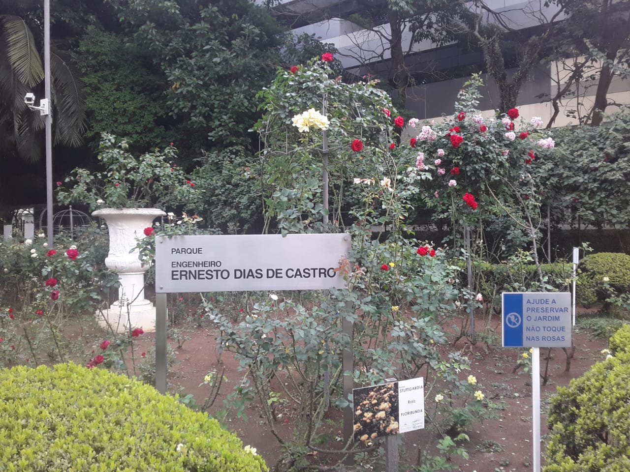 PHOTO-2019-11-27-22-22-59