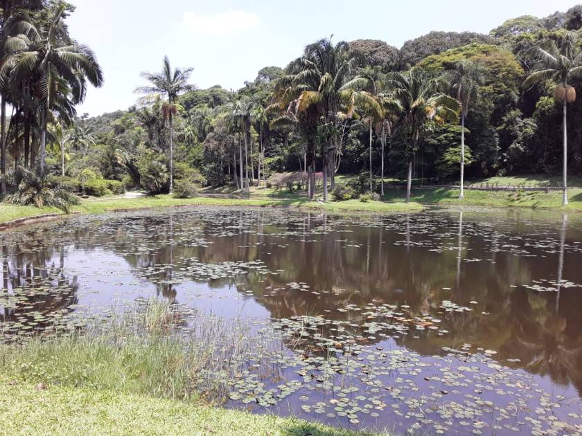 PHOTO-2020-01-13-18-11-02