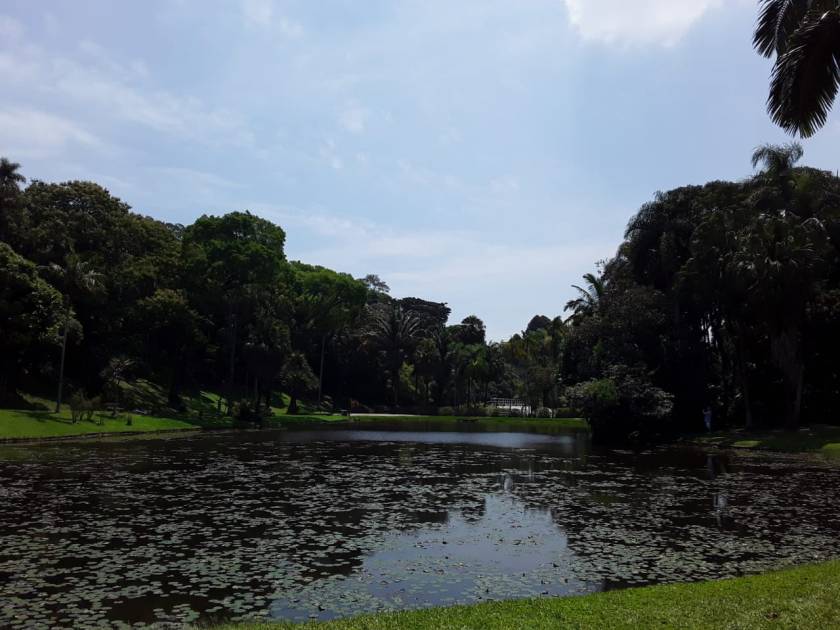 PHOTO-2020-01-13-18-11-07 (1)