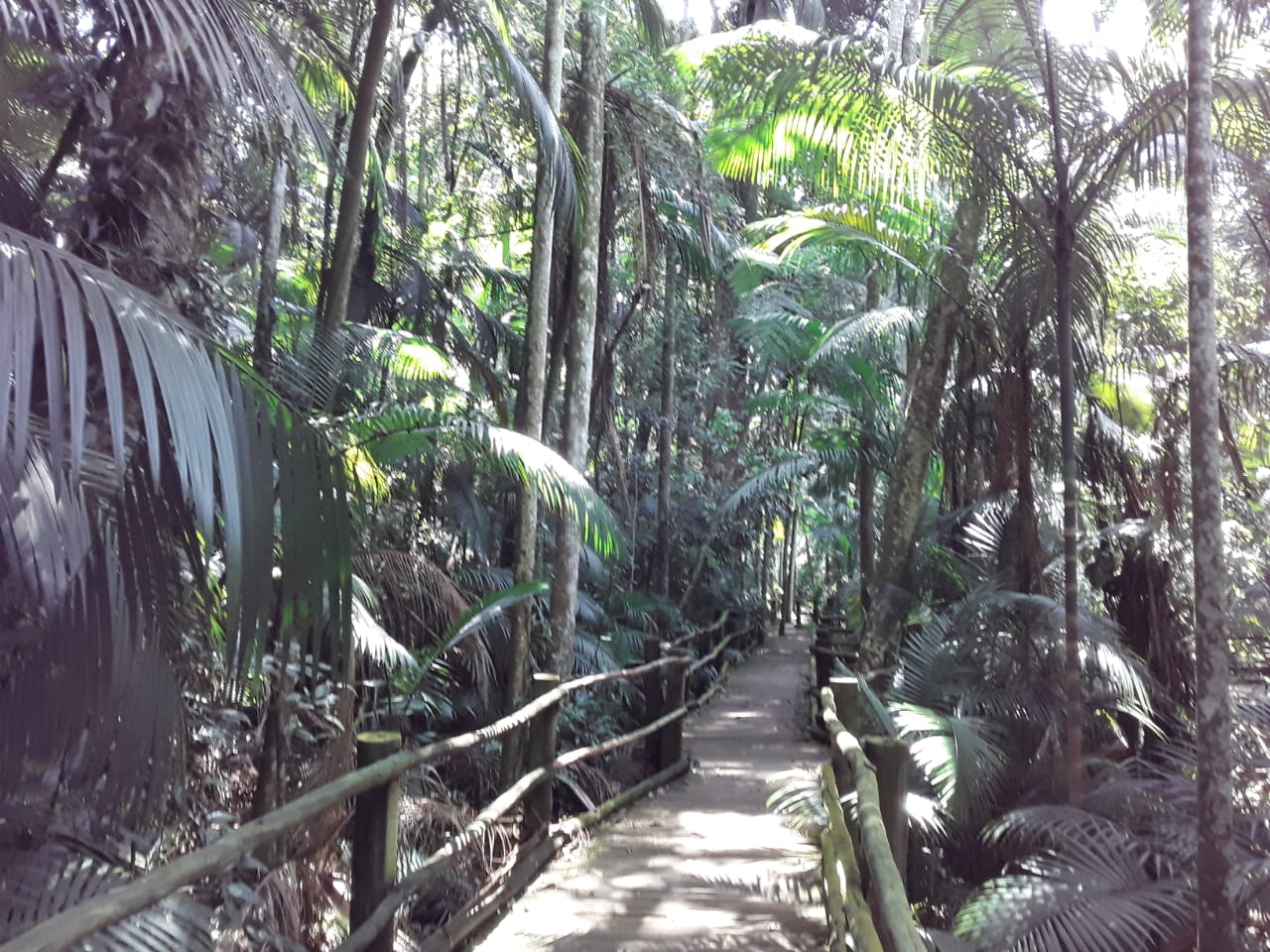 PHOTO-2020-01-13-18-11-09 (1)