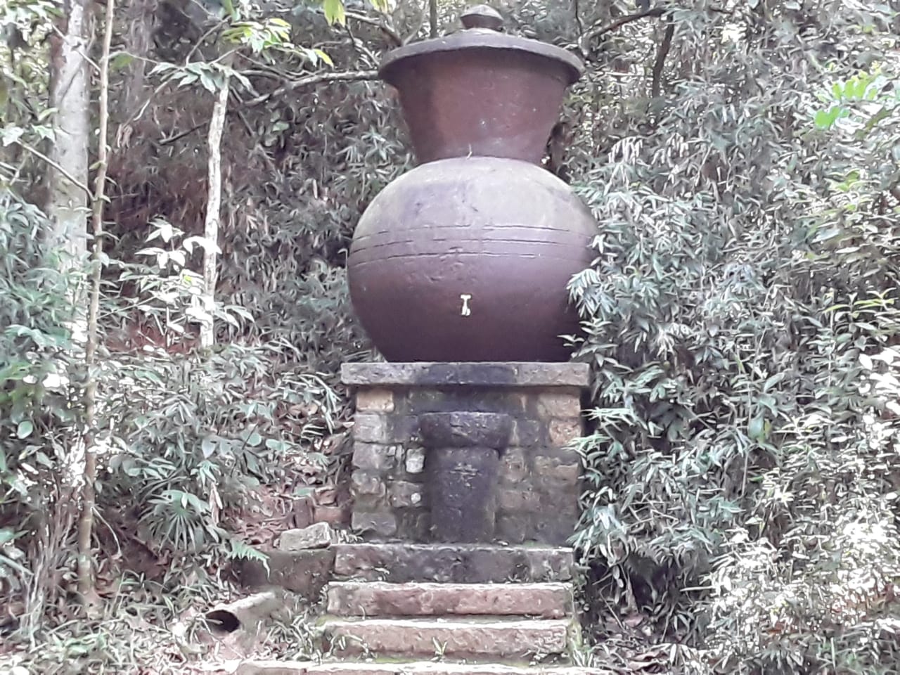 PHOTO-2020-01-13-18-11-10 (1)