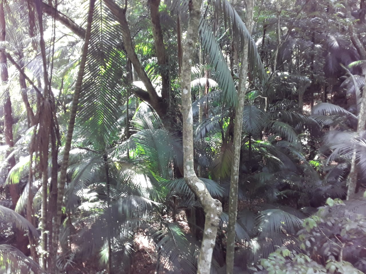 PHOTO-2020-01-13-18-11-10