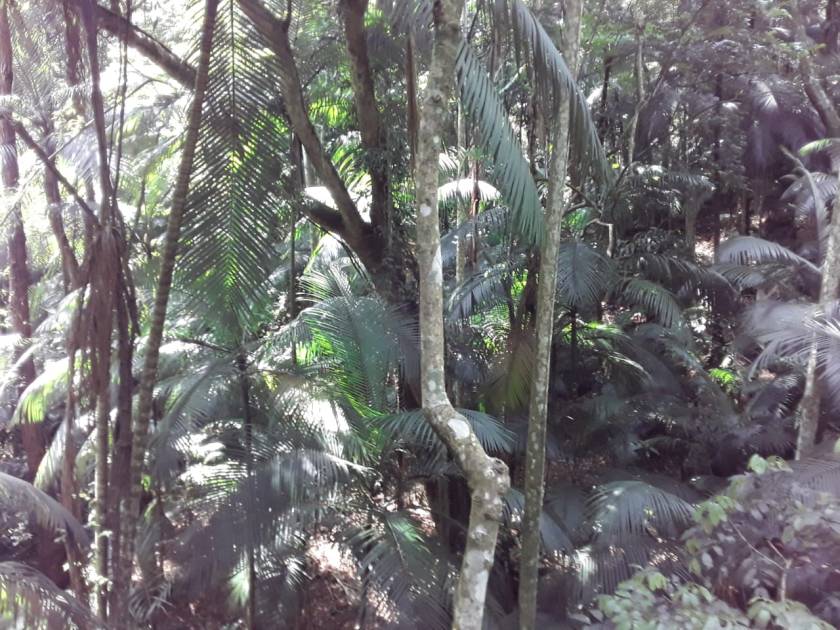 PHOTO-2020-01-13-18-11-10