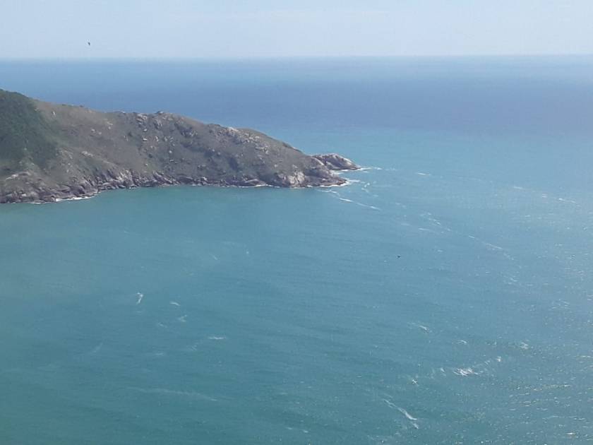 PHOTO-2020-02-12-18-40-11 (1)