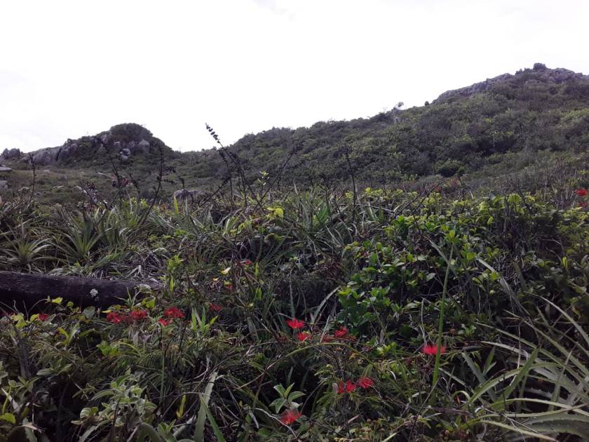 PHOTO-2020-02-12-18-40-17 (1)