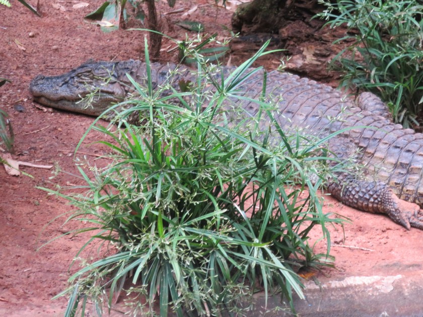 1E9F8427-3382-4305-99A9-8013B9BDD33F