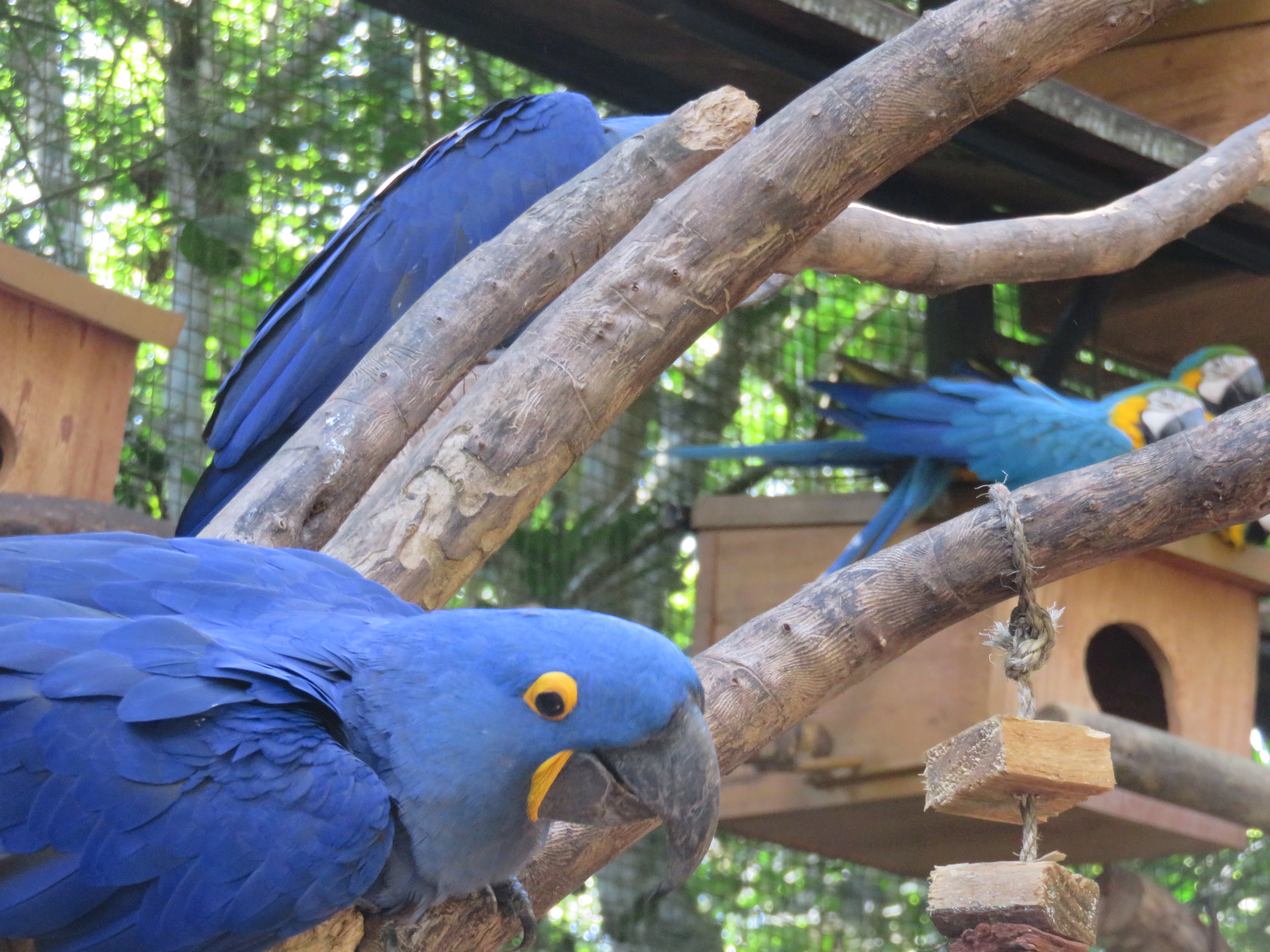 4634C88F-32A5-46DA-A086-56868E4C6EE8