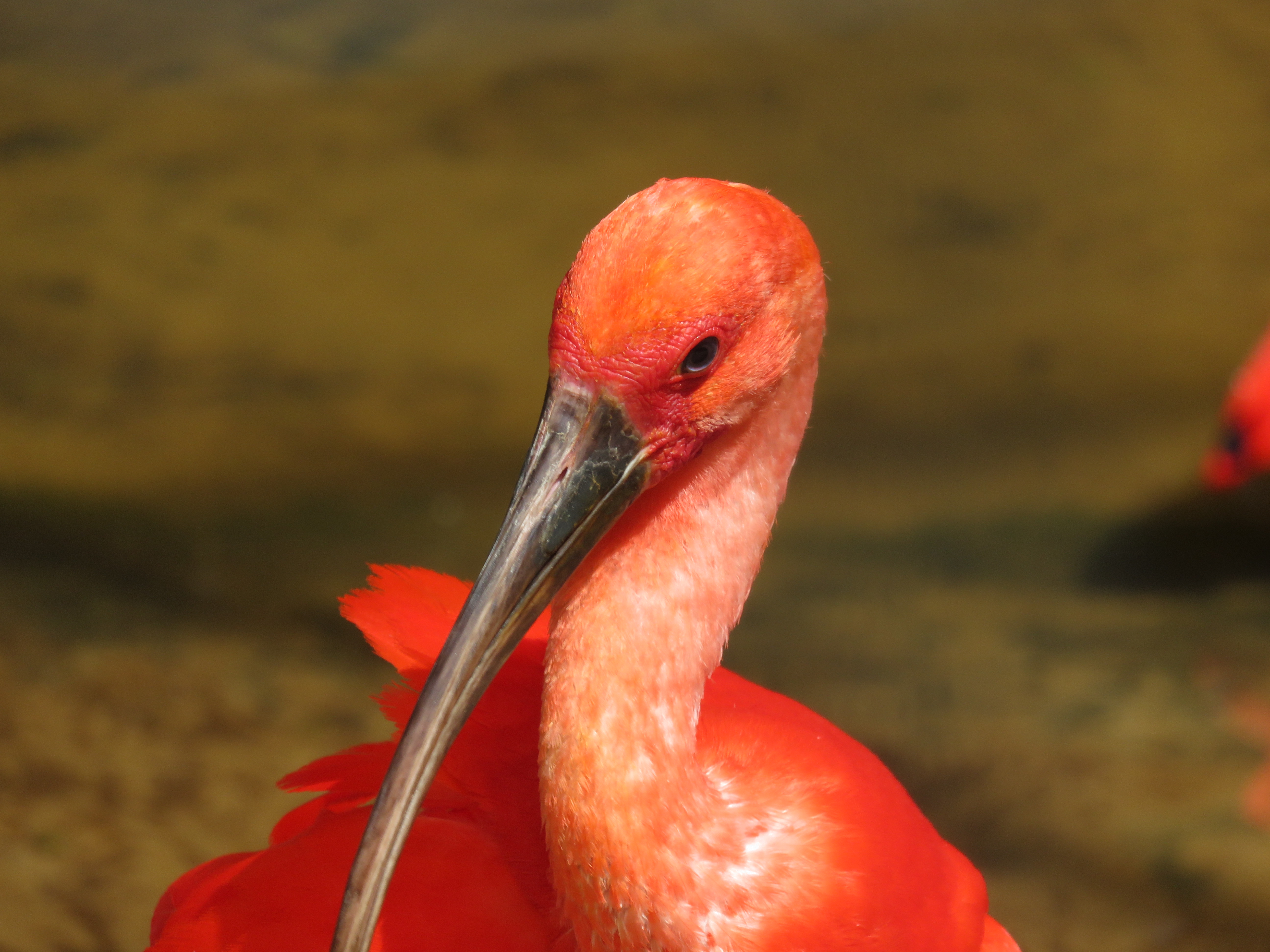 CD390FC3-047E-4981-AEFC-B7C204769E5F