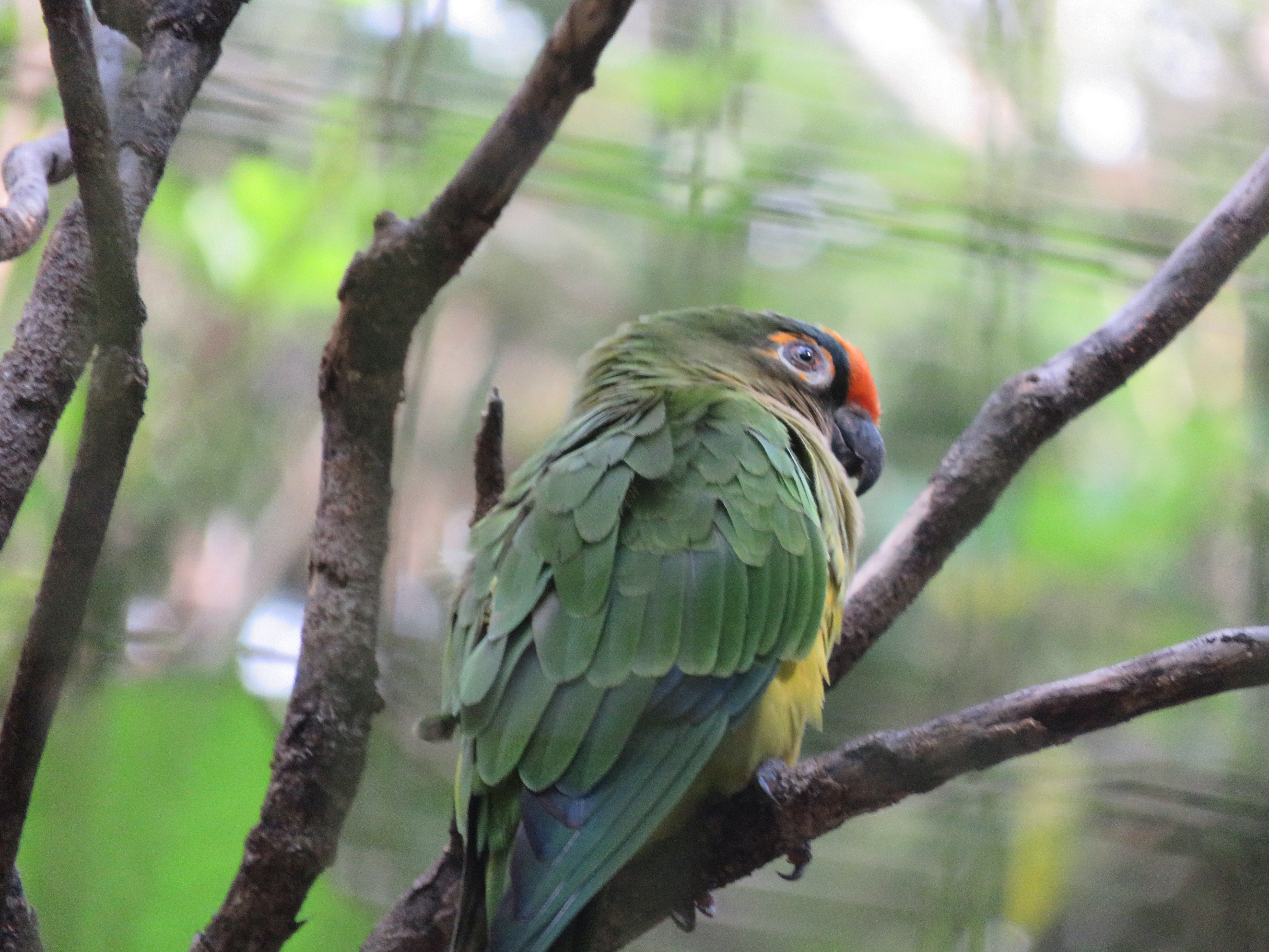 F3481569-5F55-467C-843E-CF09C25F89DC