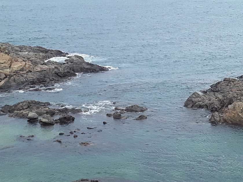 PHOTO-2020-04-09-09-12-59 (2)