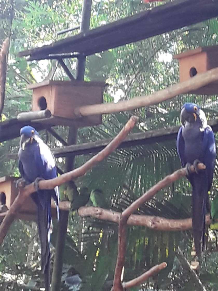 PHOTO-2020-04-22-16-09-25 (1)