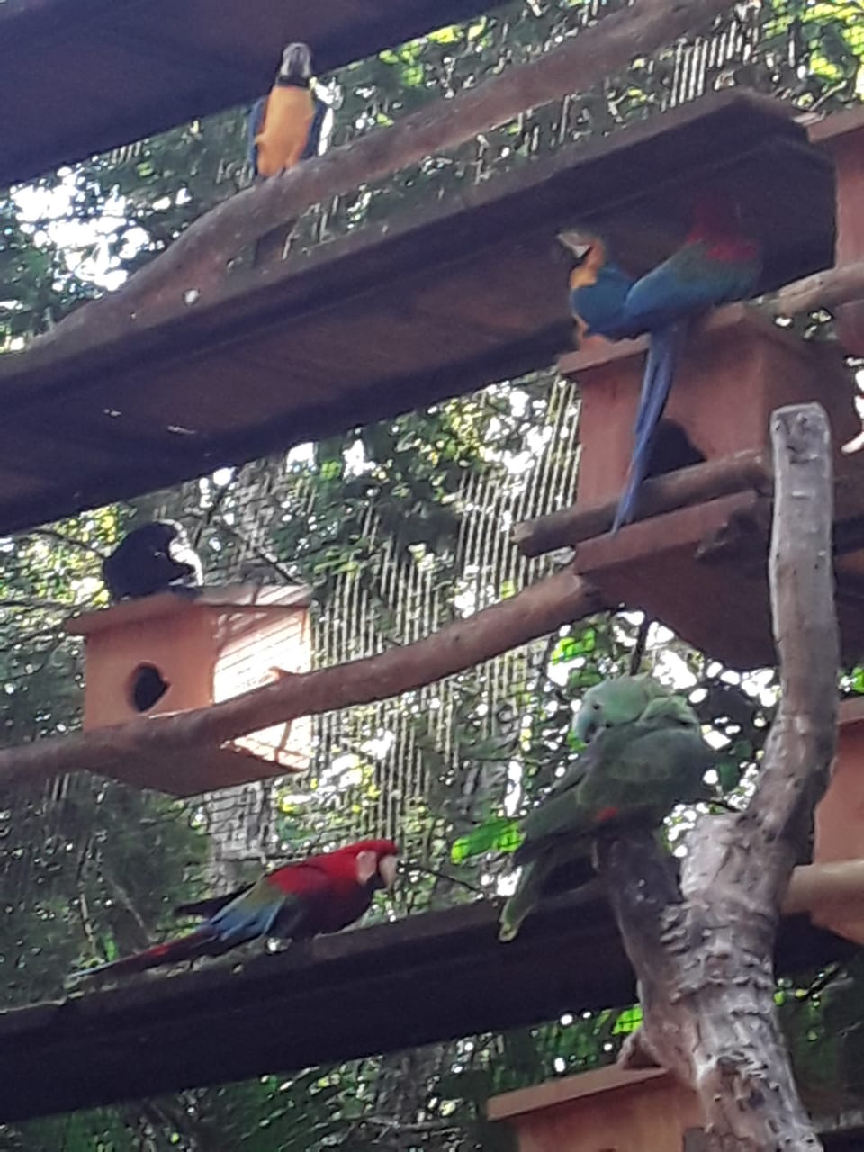 PHOTO-2020-04-22-16-09-25