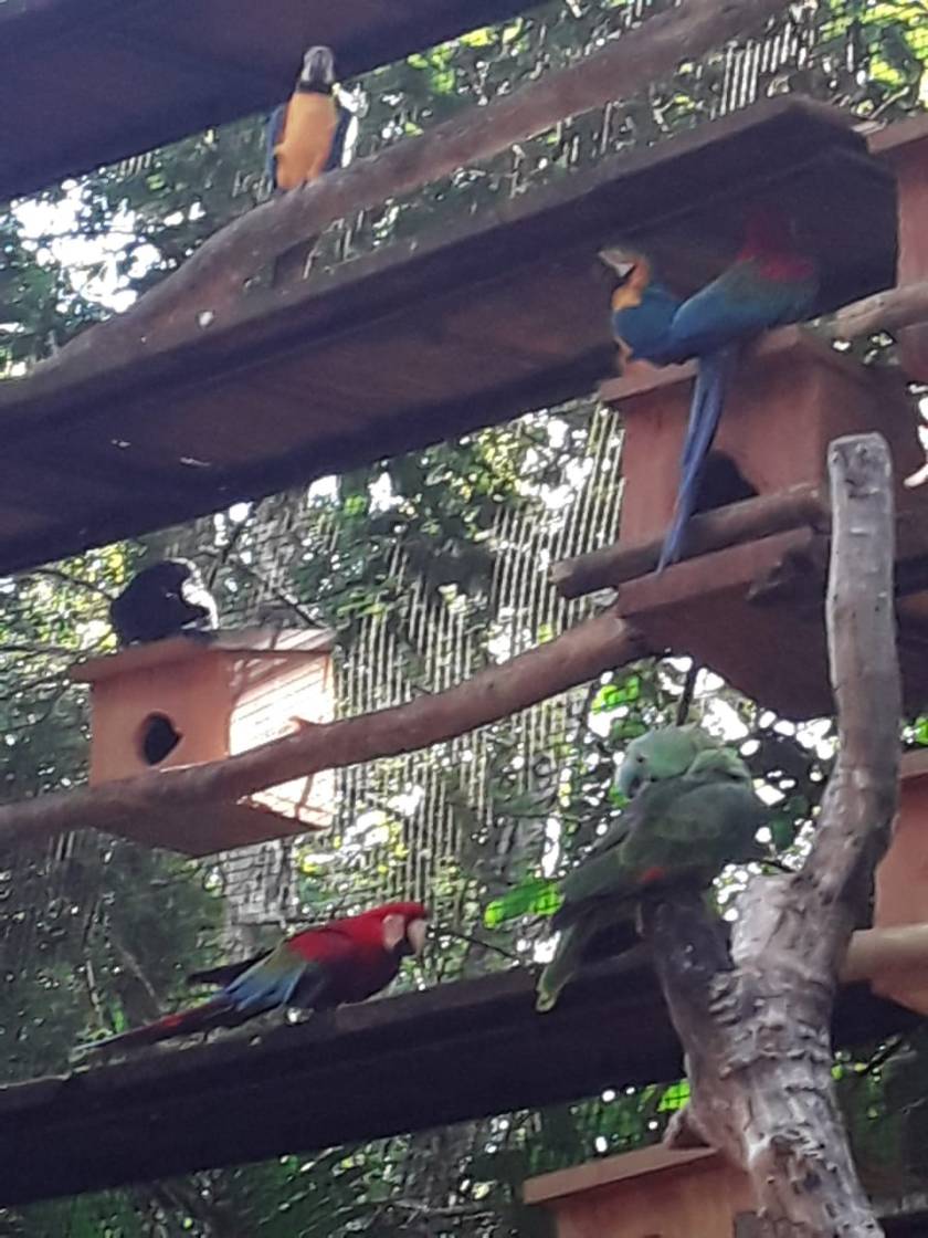 PHOTO-2020-04-22-16-09-25