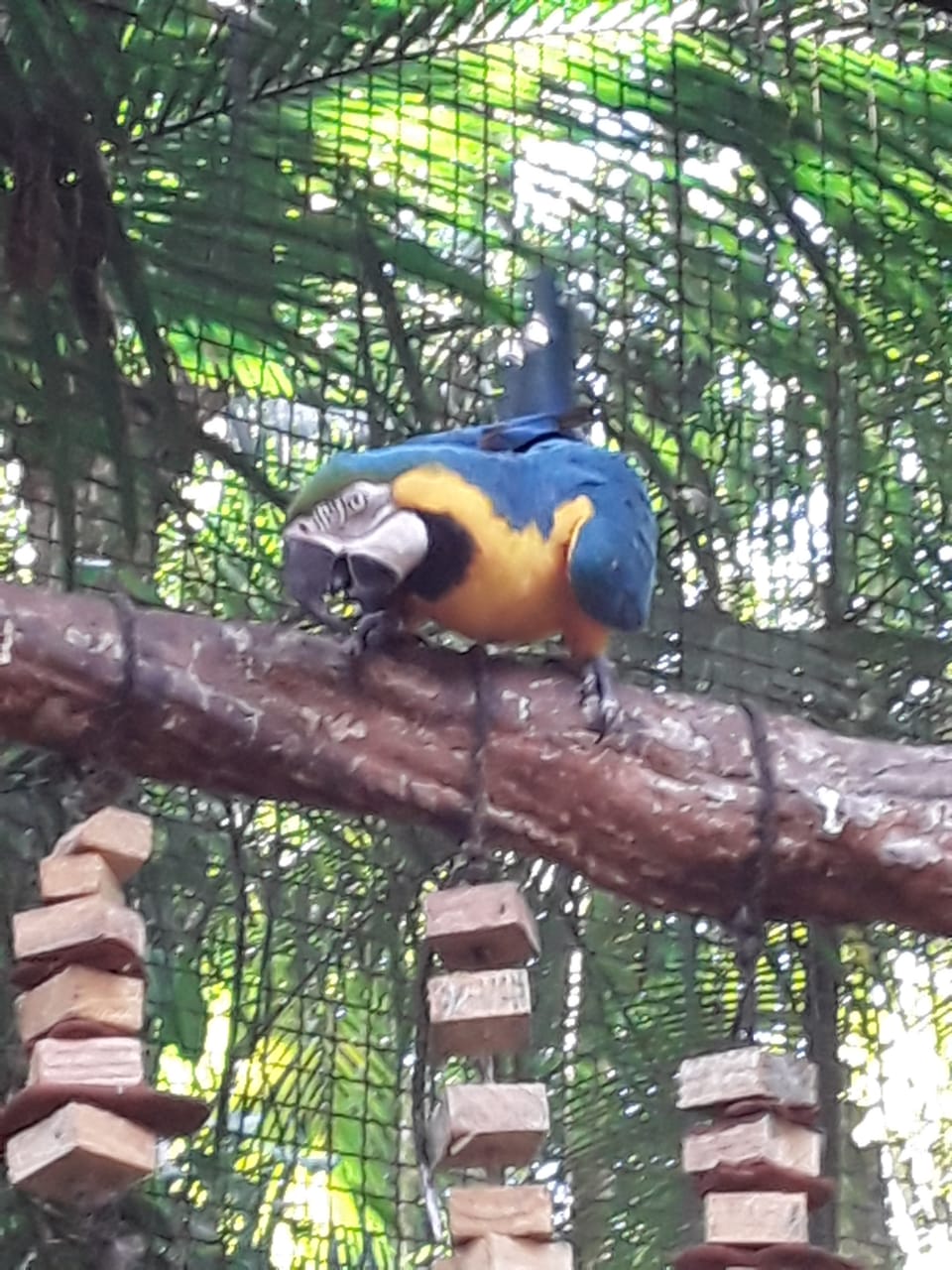 PHOTO-2020-04-22-16-09-26 (1)