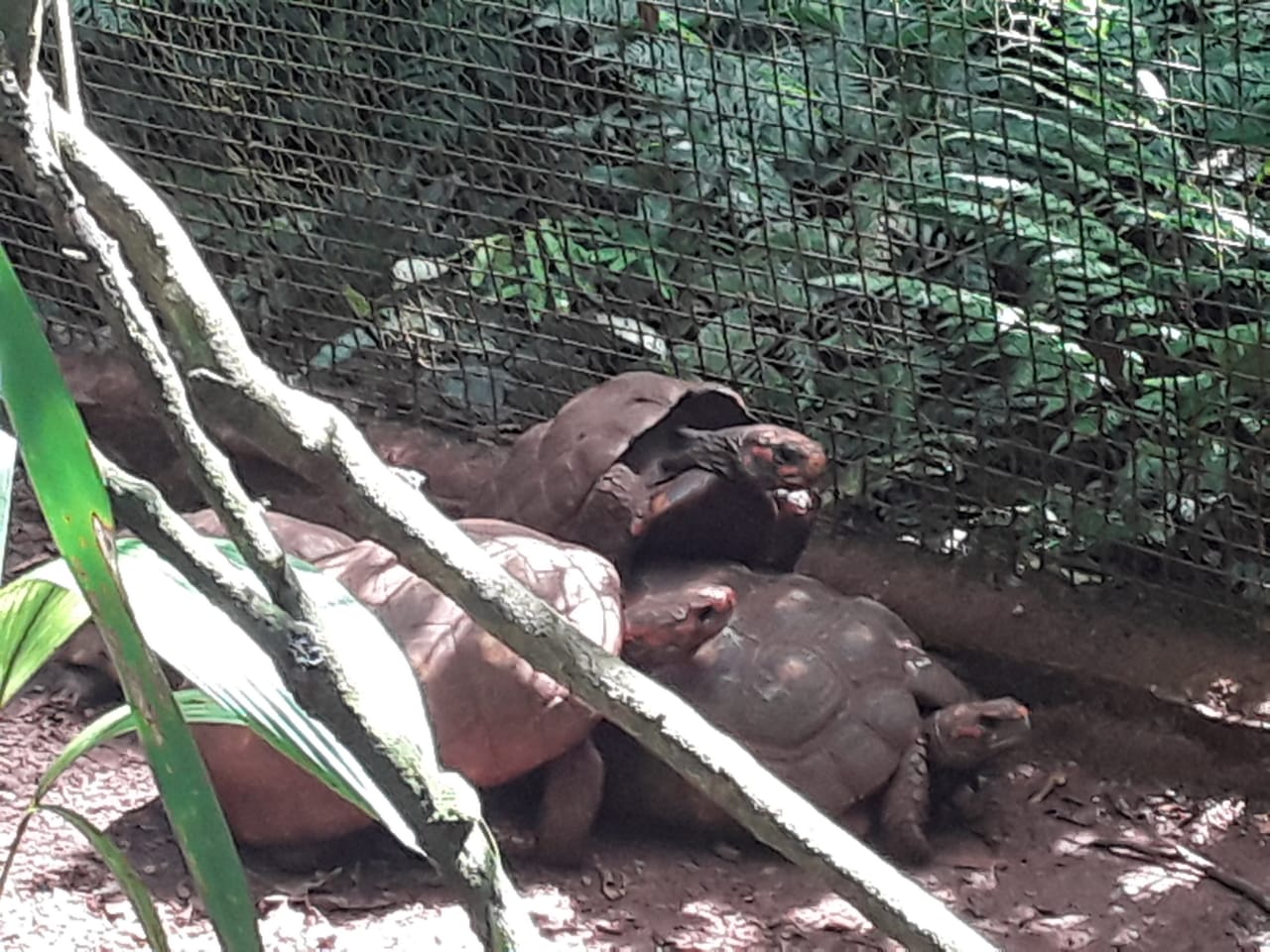 PHOTO-2020-04-22-16-09-29