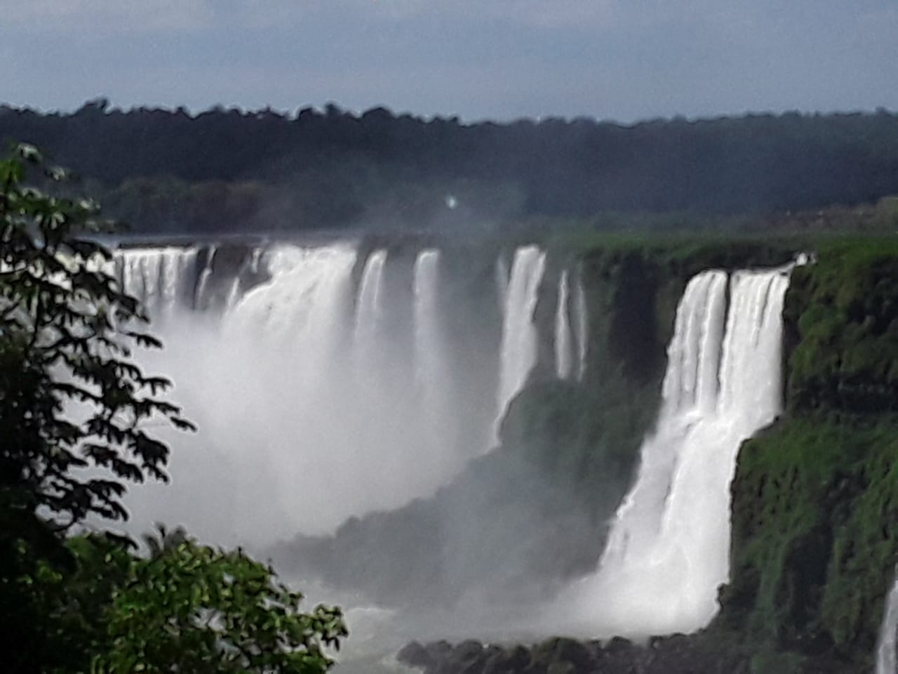 PHOTO-2020-04-29-13-37-00 (1)