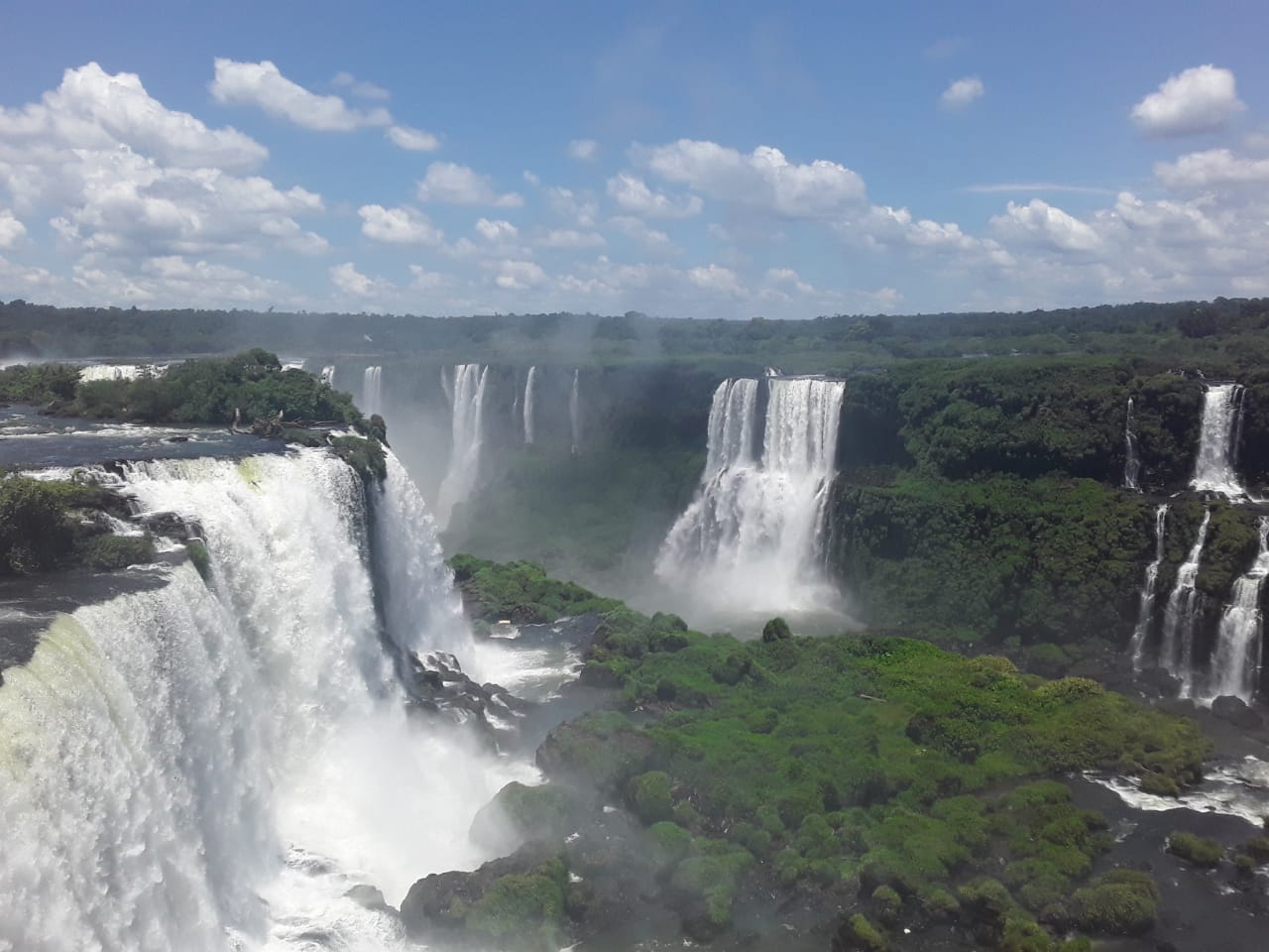 PHOTO-2020-04-29-13-37-04 (1)