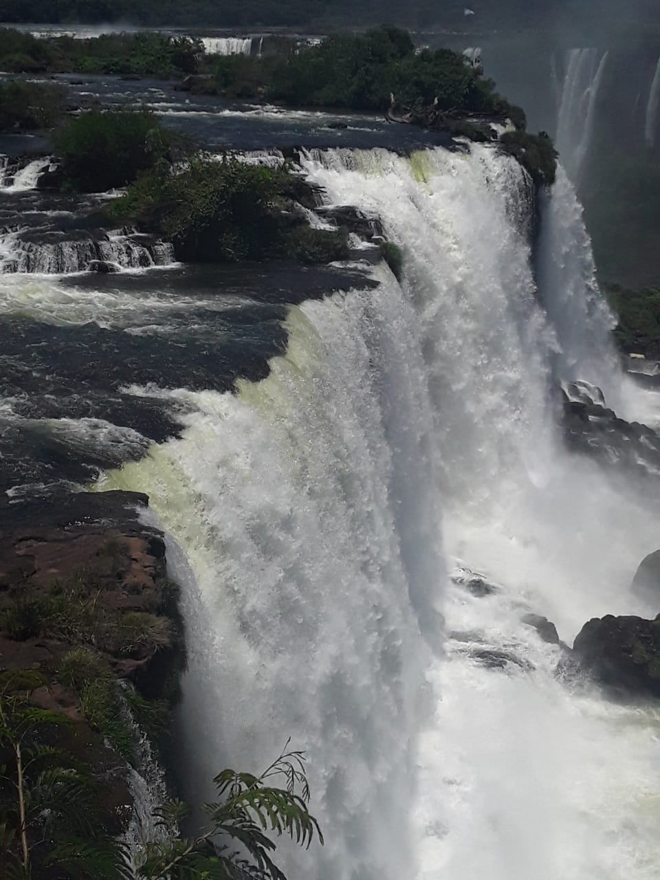 PHOTO-2020-04-29-13-37-04