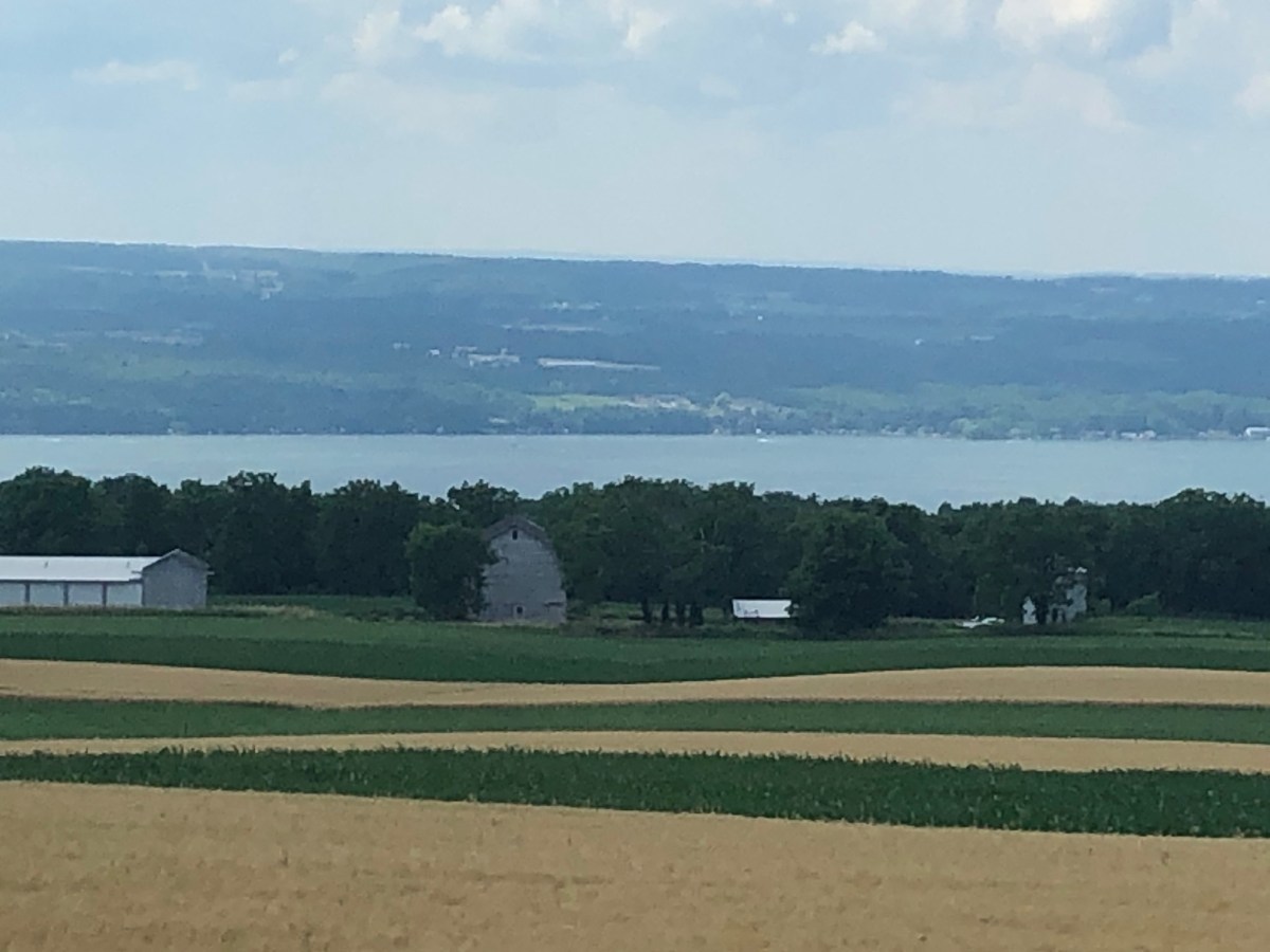 Finger Lakes Wineries