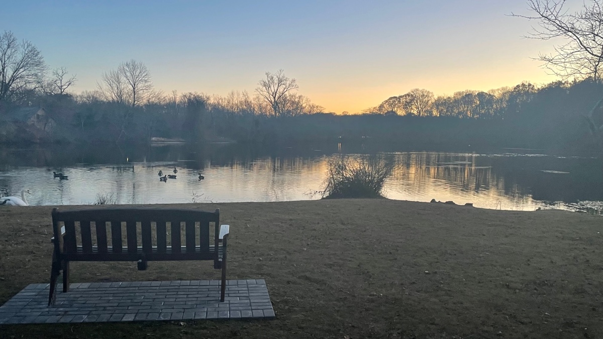 Sunset on The Pond