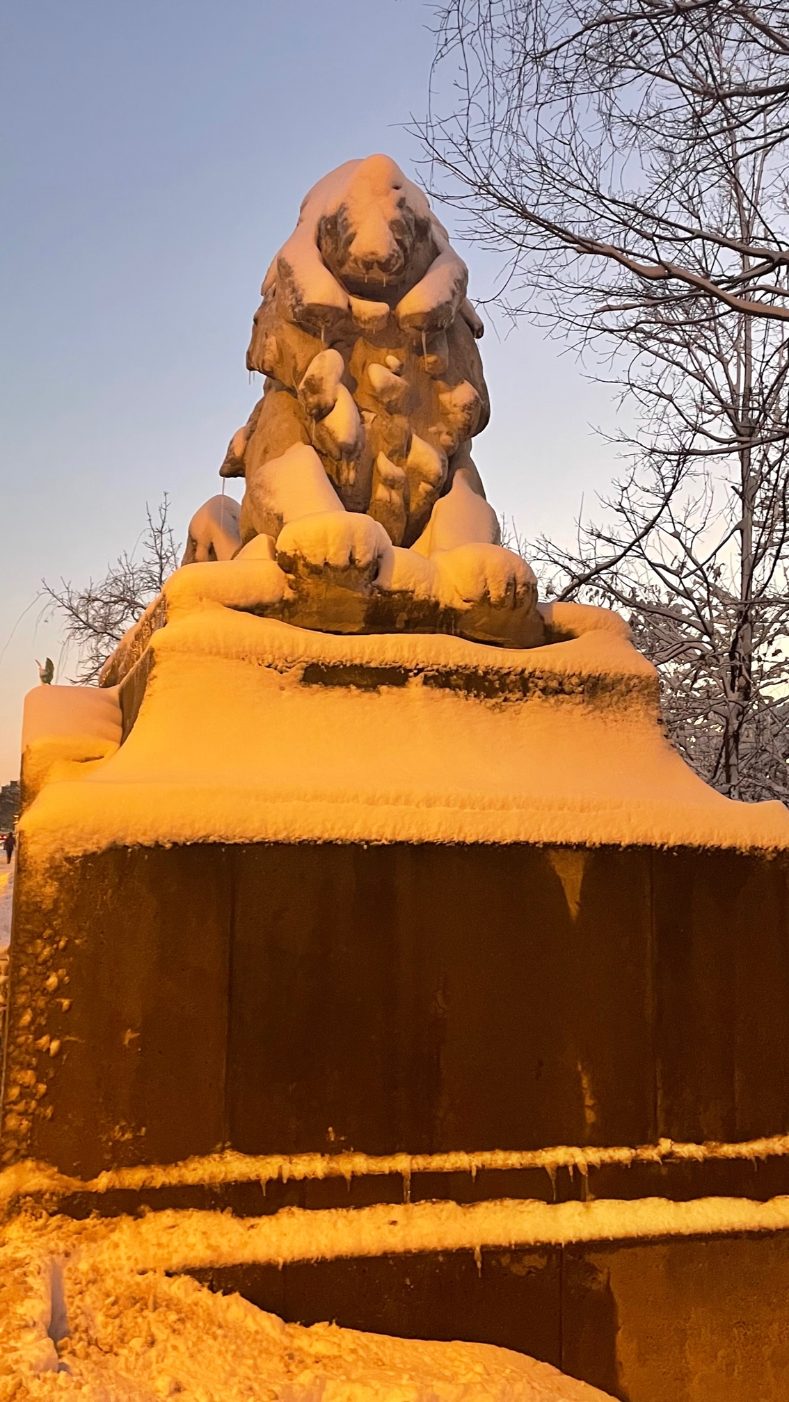 Winter Sunset in&nbsp;Washington