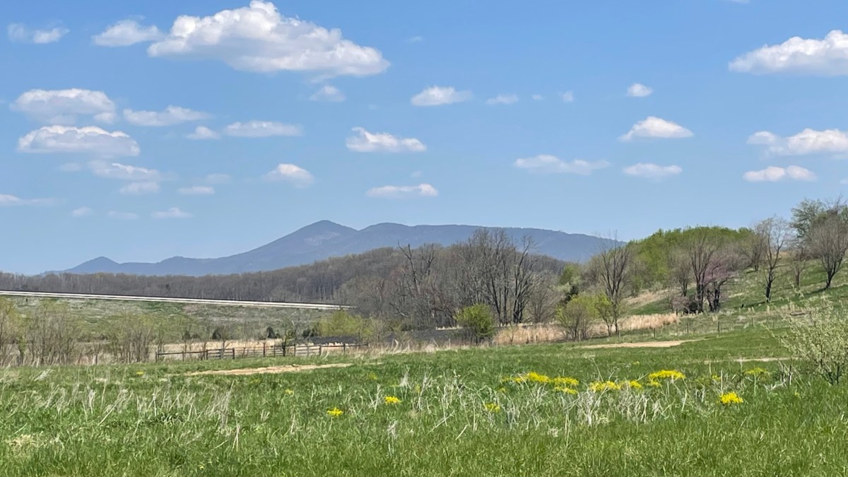 Wild and Wonderful West&nbsp;Virginia