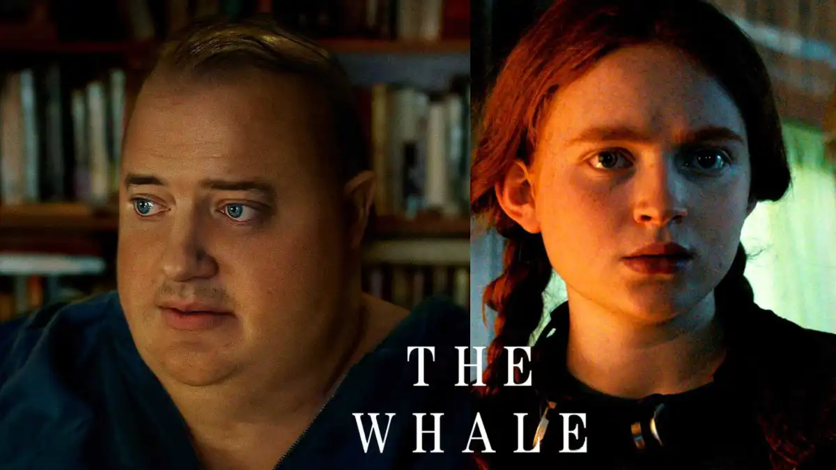 the essay in the whale