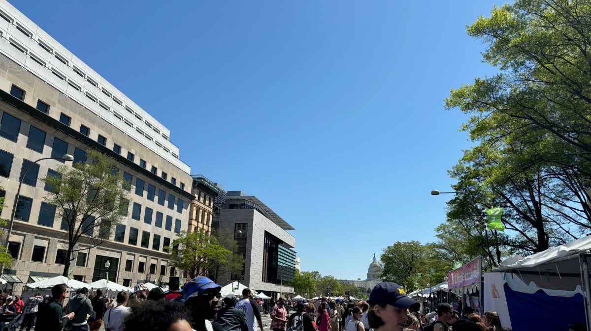 The Sakura Matsuri Japanese Festival in Washington,&nbsp;DC
