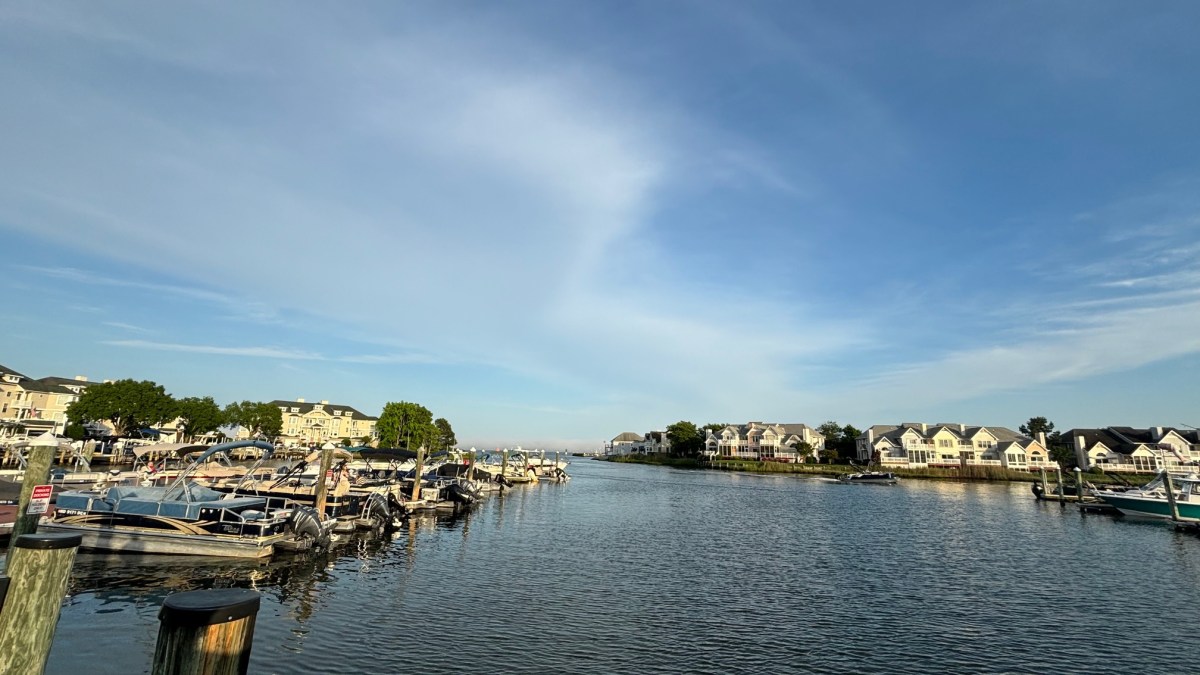 Out on the Mighty Chesapeake&nbsp;Bay