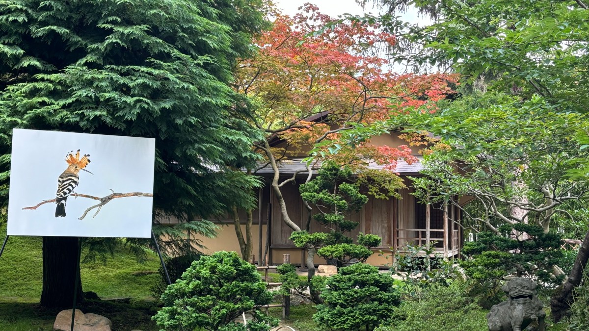 The Albert-Kahn Museum and Garden in Paris,&nbsp;France