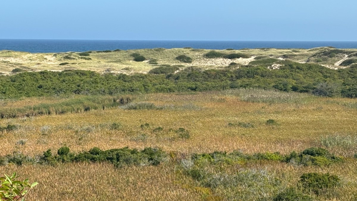 Hiking on the&nbsp;Cape