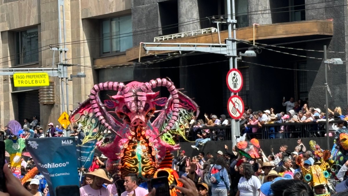 Day of the Dead Festivities in Mexico&nbsp;City